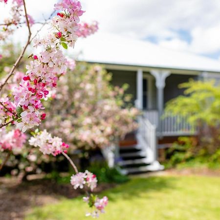 Apple Blossom Cottages 史丹霍普 外观 照片