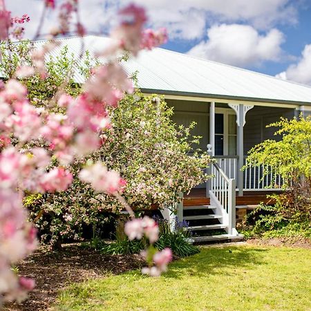Apple Blossom Cottages 史丹霍普 外观 照片