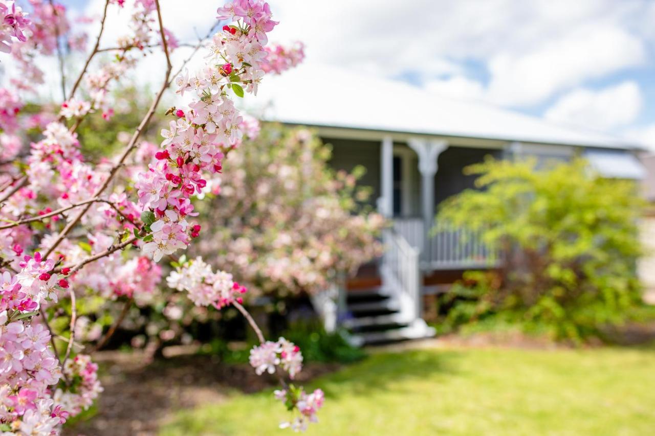 Apple Blossom Cottages 史丹霍普 外观 照片