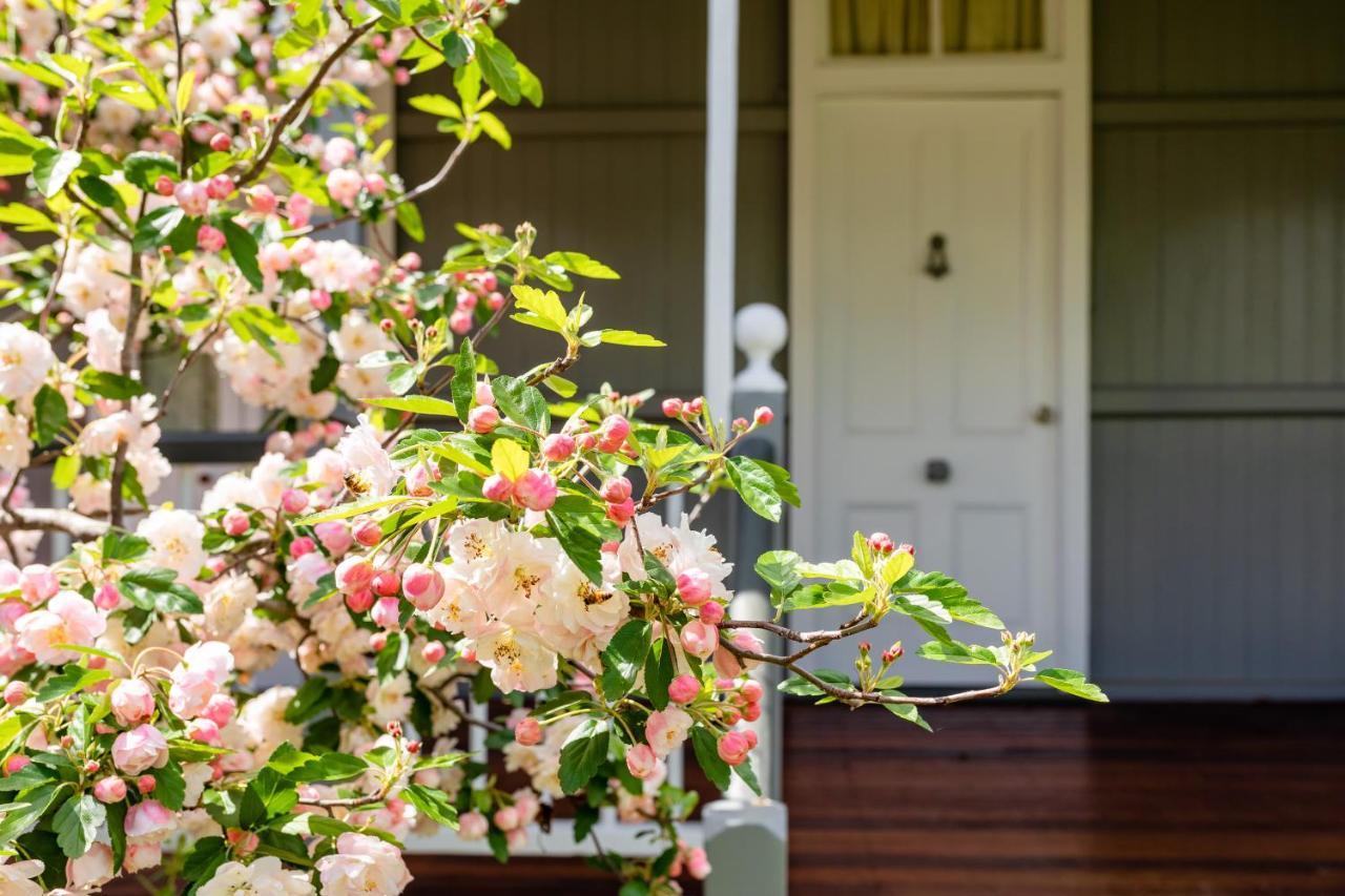 Apple Blossom Cottages 史丹霍普 外观 照片